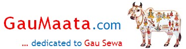 http://gaumaata.com/wp-content/uploads/2013/12/GauMaata_375_100.jpg